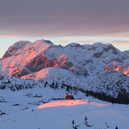 Velika Planina - Chalet Stane - Alps Stahovica Exterior photo